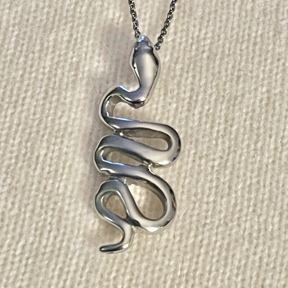 Stainless Steel Snake Pendant Necklace